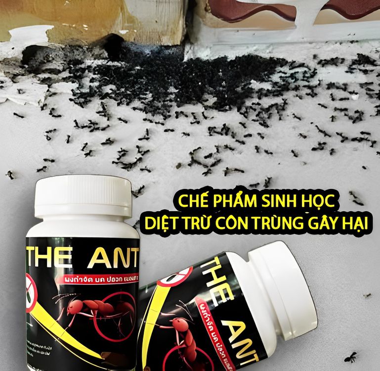Thuốc Diệt Kiến Sinh Học Thái Lan The Ant